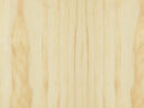 Radiata Pine 01