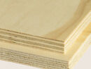 Radiata Pine 02