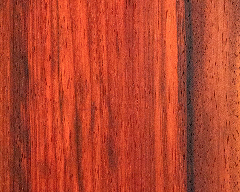 Padouk 01