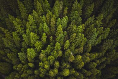 Spencer watson d EOC8 M lmx I unsplash