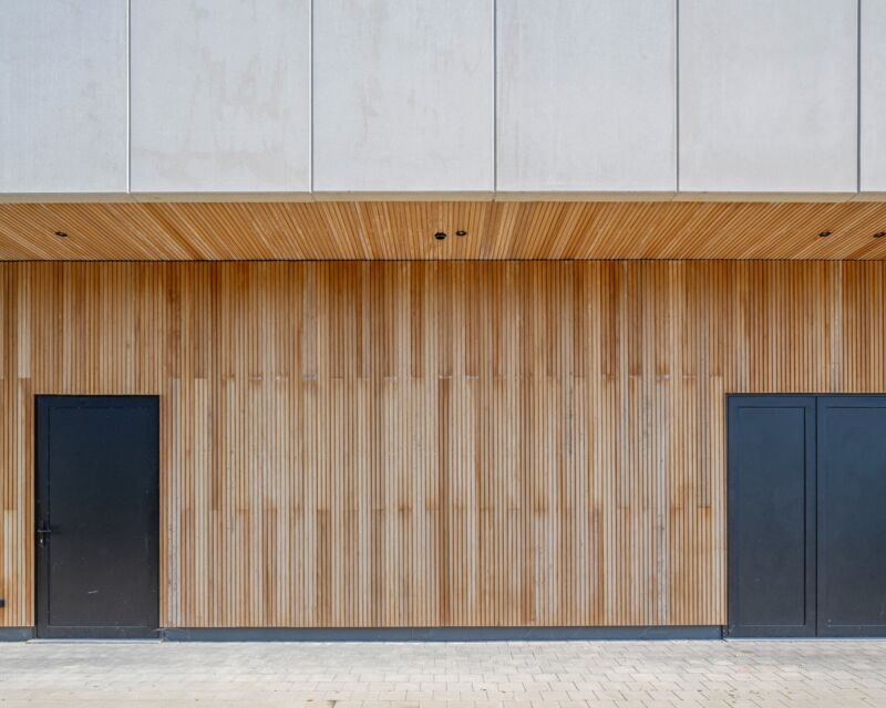 Thermo Wood Ayous 03