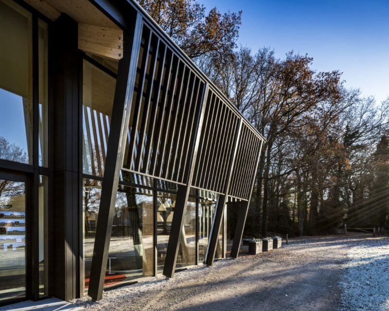 Thermo Wood Fraké 06