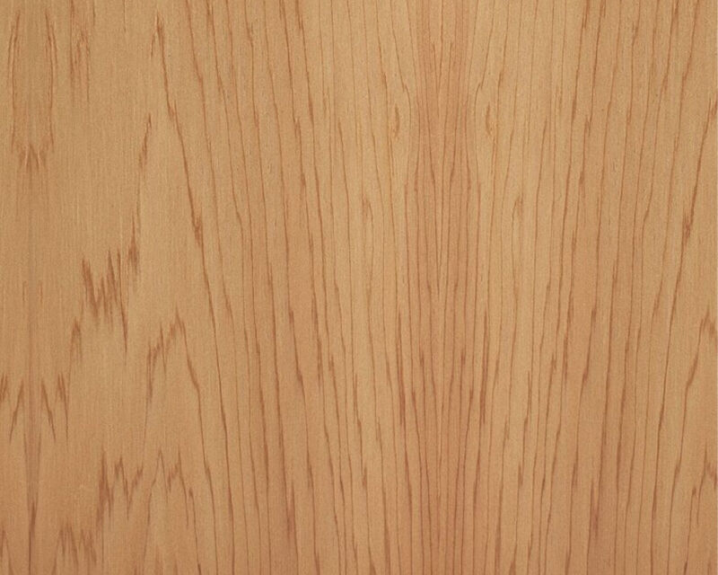 Western Red Cedar 01